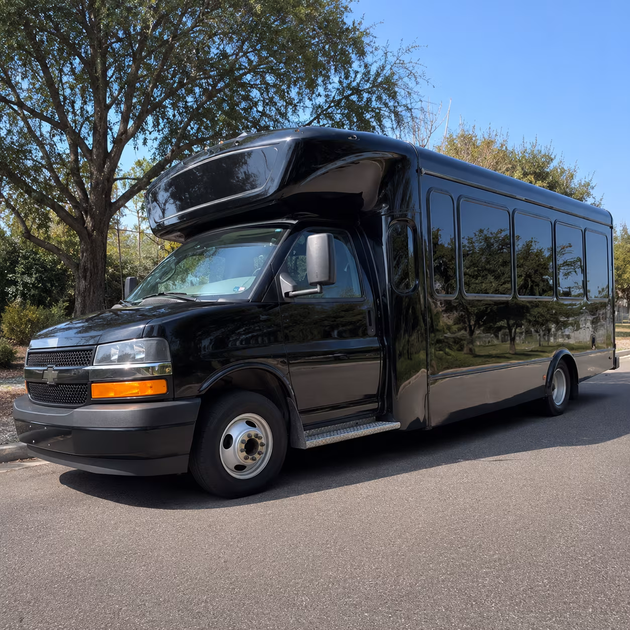 bridal party buses from lancaster to vasquez rocks and scenic ceremony sites